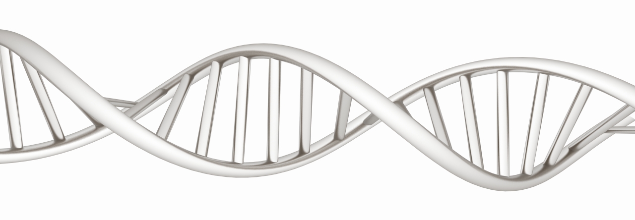 Club DNA certyfikat z profilem genetycznym