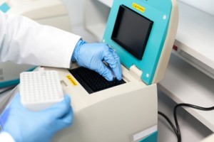 Test na ojcostwo 24 markery DNA